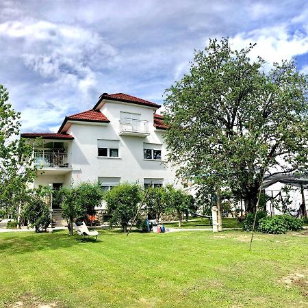 Apartments Andrej - OПтуй Екстер'єр фото
